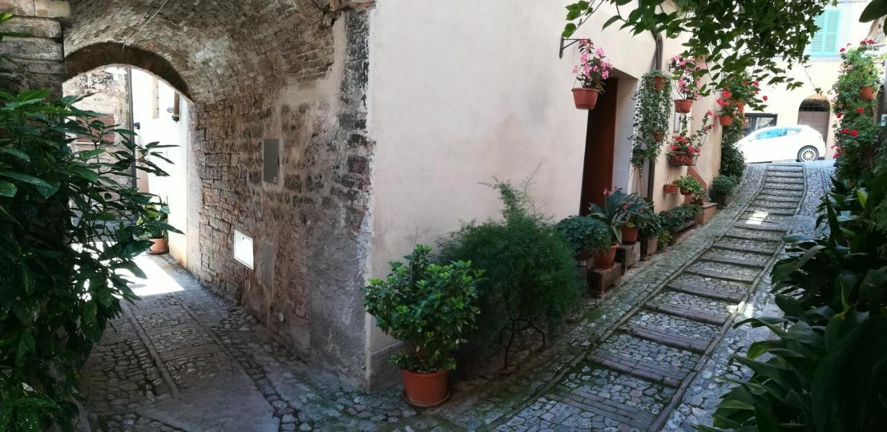 Borgo San Sisto Apartment 스펠로 외부 사진
